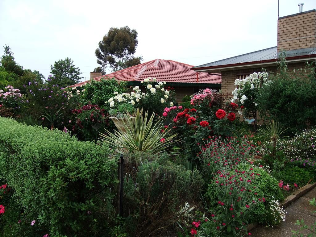 Admurraya House Bed & Breakfast Rutherglen Exteriör bild