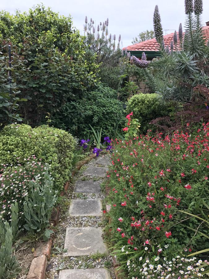 Admurraya House Bed & Breakfast Rutherglen Exteriör bild